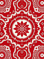 Crimson Floral Medallion Symmetry Rug