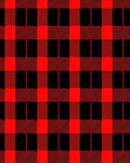 Red Black Buffalo Check Squares Rug