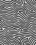 Bold Black White Organic Wave Rug