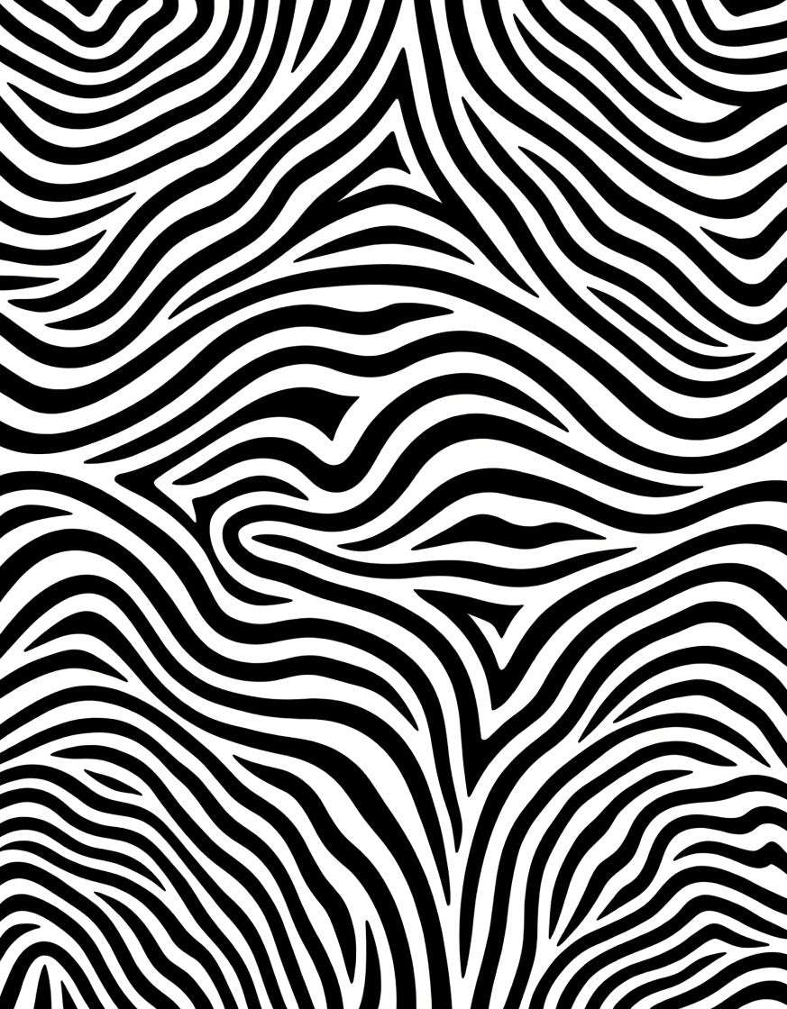 Classic Black White Zebra Stripes Rug