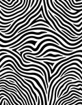 Classic Black White Zebra Stripes Rug