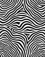 Classic Black White Zebra Stripes Rug