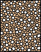Organic Circles And Connections Rug