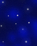 Night Sky Starburst Medallions Rug