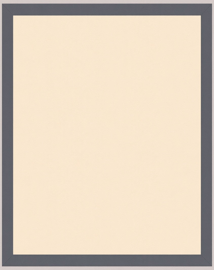 Cream with Gray Border Frame Rug