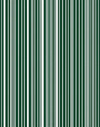 Dark Green White Vertical Stripe Rug