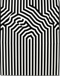 Black and White Optical Illusion Stripes Rug