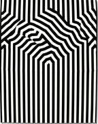 Black and White Optical Illusion Stripes Rug