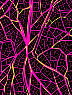 Vibrant Pink Yellow Vein Diagram Rug