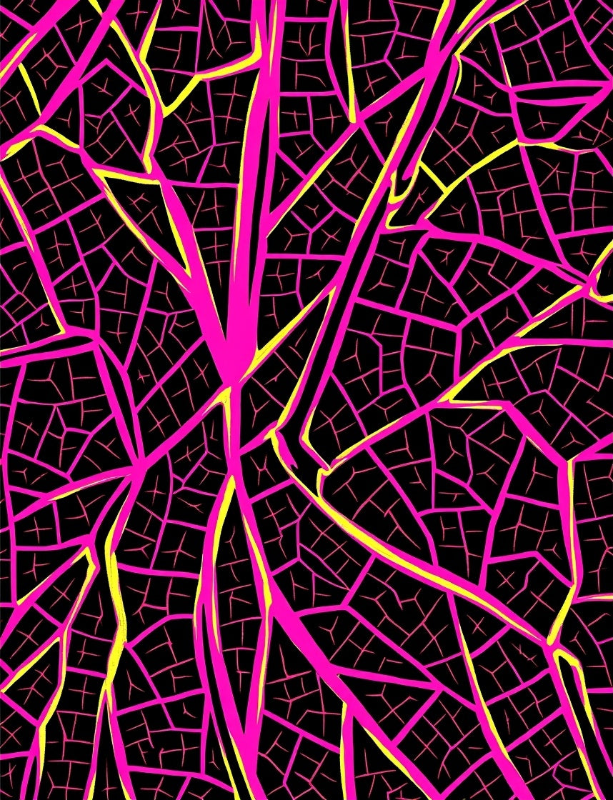Vibrant Pink Yellow Vein Diagram Rug