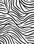 Bold Black White Organic Strokes Rug