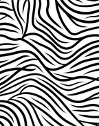 Bold Black White Organic Strokes Rug