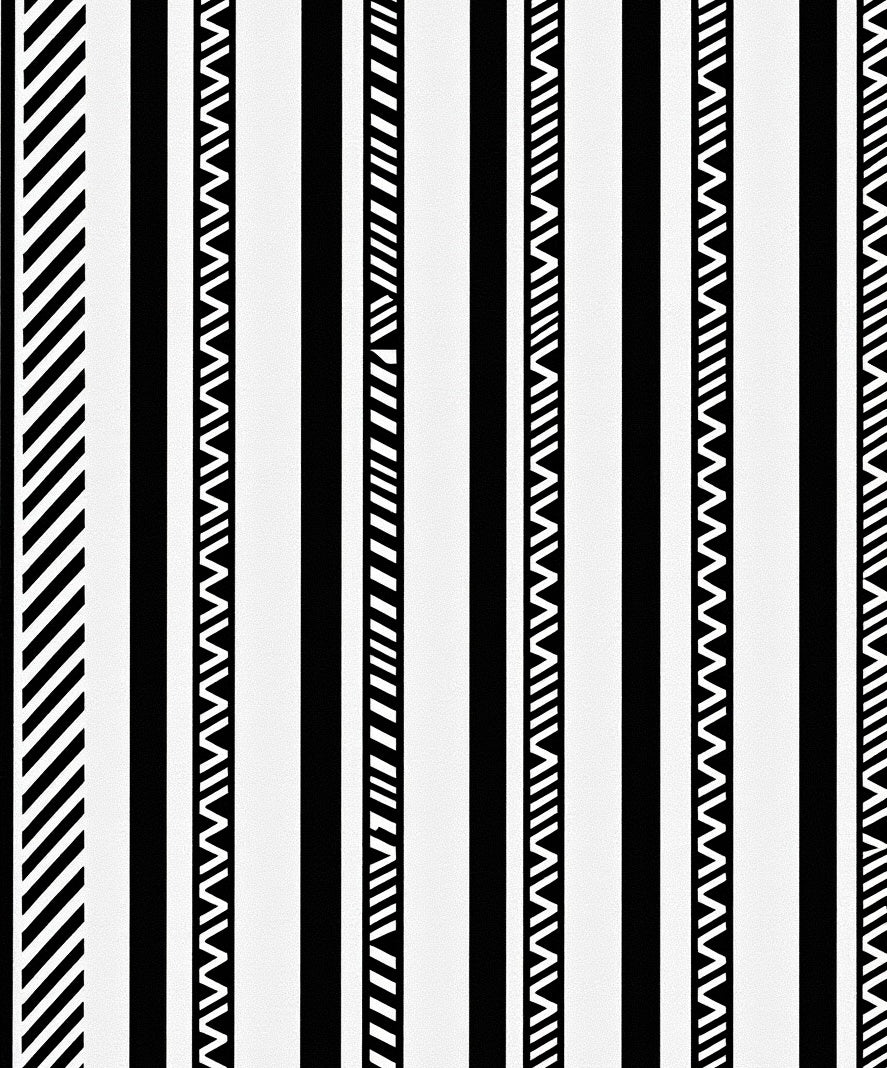 Bold Black White Striped Variety Rug