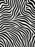 Abstract Wave Black White Animal Stripes Rug
