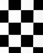 Bold Black White Checkered Squares Rug