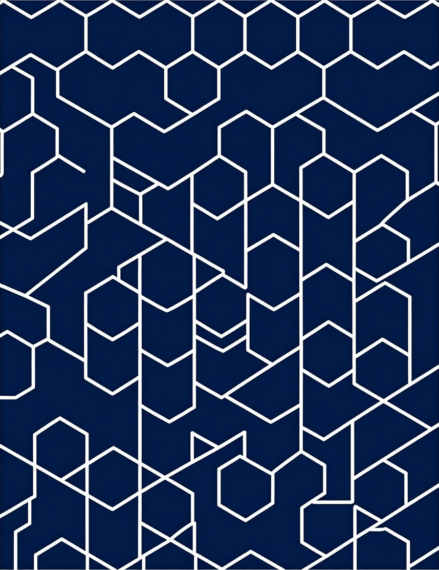 Navy White Geometric Abstract Hexagon Rug