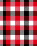 Rustic Red Black Buffalo Check Squares Rug