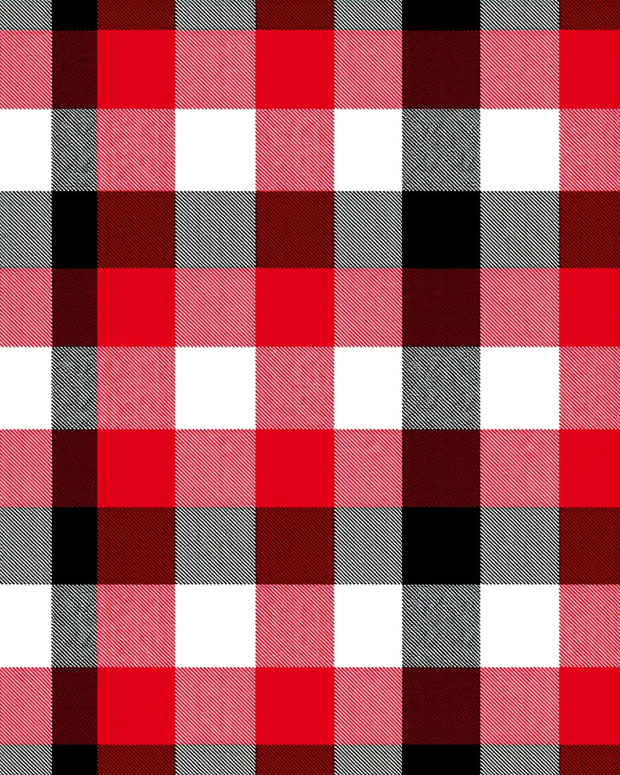 Rustic Red Black Buffalo Check Squares Rug