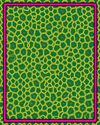 Green Yellow Geometric Honeycomb Border Rug