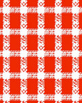 Bright Red White Buffalo Check Rug