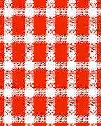 Bright Red White Buffalo Check Rug
