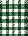 Classic Green White Buffalo Check Rug
