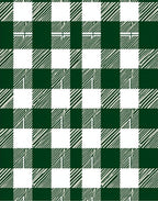 Classic Green White Buffalo Check Rug