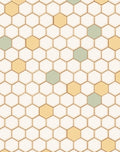 Subtle Hexagon Cream Yellow Mint Rug