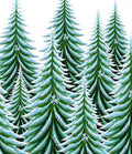 Verdant Pine Trees Snowfall Accents Rug