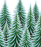 Verdant Pine Trees Snowfall Accents Rug