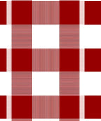 Classic Red Gingham Checkered Rug