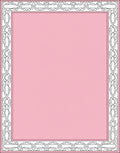 Pink Floral Medallion Border Rug