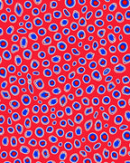 Bold Red Blue Ocular Spots Rug