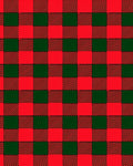 Red Green Buffalo Check Plaid Rug