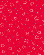 Red White Blue Star Festive Field Rug