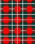 Bold Red Green Plaid Checkered Rug