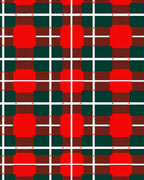 Bold Red Green Plaid Checkered Rug