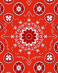 Vivid Red Floral Medallion Mandala Rug