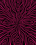 Shocking Pink Zebra Swirl Rug