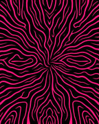 Shocking Pink Zebra Swirl Rug