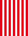 Bold Red White Vertical Stripes Rug