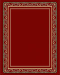 Deep Red and Gold Flourish Border Rug