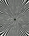 Black White Radial Burst Rug