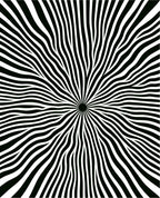 Black White Radial Burst Rug