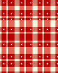Red White Gingham Star Check Rug