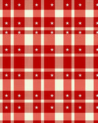 Red White Gingham Star Check Rug