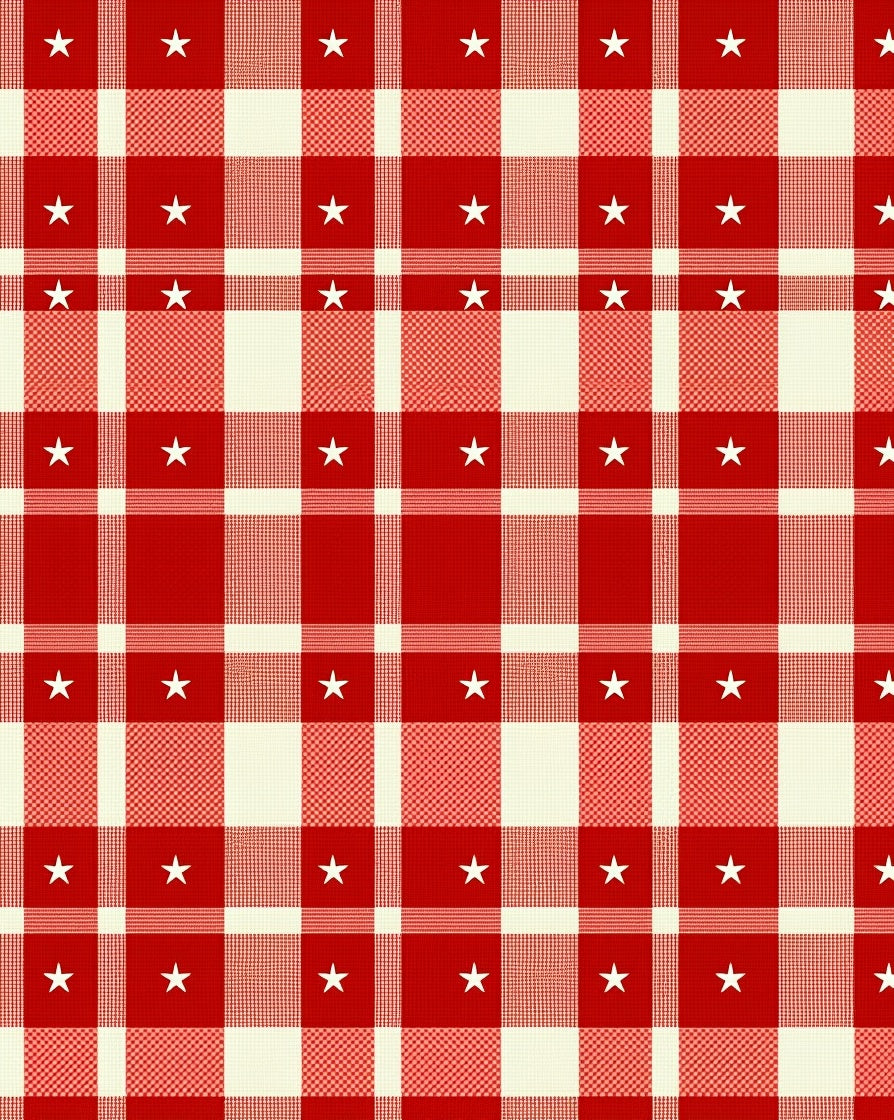Red White Gingham Star Check Rug