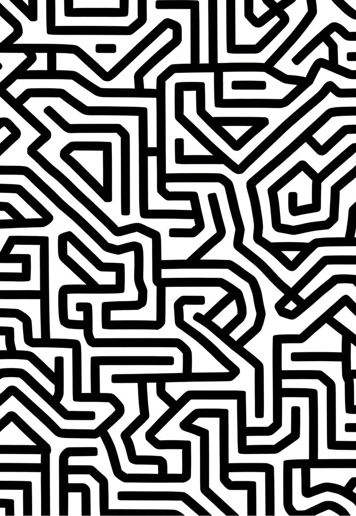Black White Labyrinth Maze Lines Rug