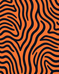 Orange and Black Zebra Stripes Rug