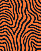 Orange and Black Zebra Stripes Rug